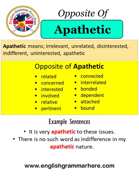 antonyms for apathetic